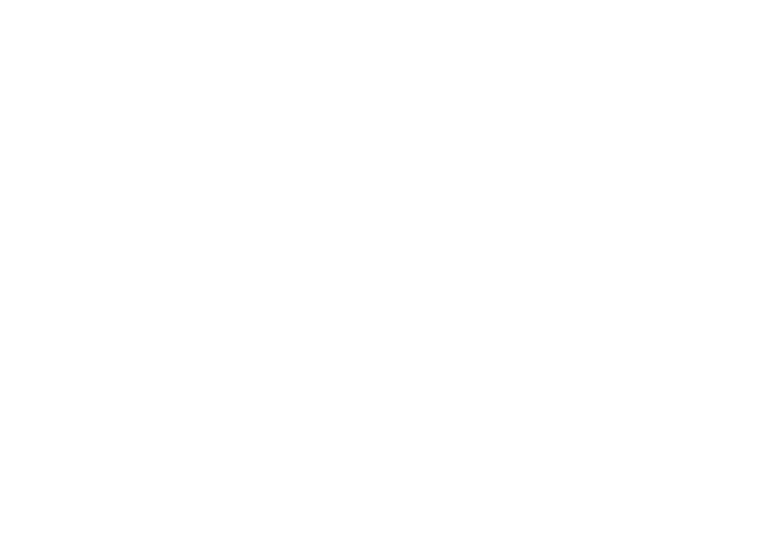 Adventor Hotels 